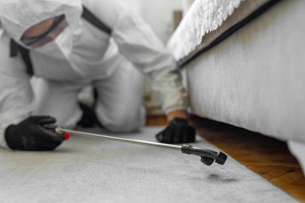 Professional Termite Control technician working in Tillmans Corner, AL